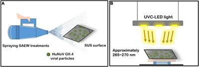 Evaluation of Virucidal Efficacy of Human Norovirus Using Combined Sprayed Slightly Acidic Electrolyzed Water and Ultraviolet C-Light-Emitting Diode Irradiation Treatment Based on Optimized Capture Assay for Quantitative RT-qPCR